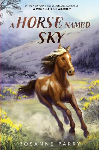 Cover image for A Horse Named Sky