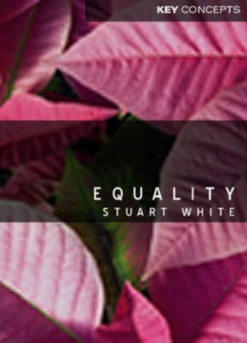 Cover image for Equality