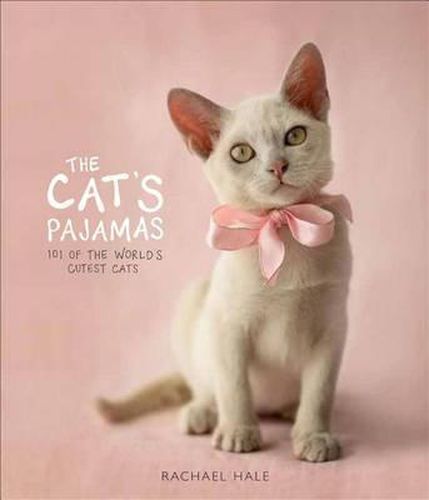 Cover image for The Cat's Pajamas: 101 of the World's Cutest Cats