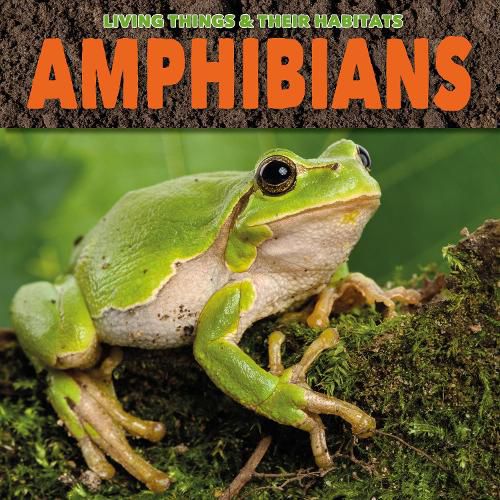 Cover image for Amphibians