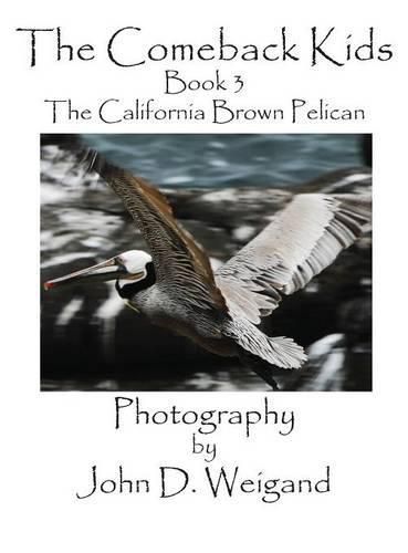 Cover image for The Comeback Kids, Book 3, the California Brown Pelican