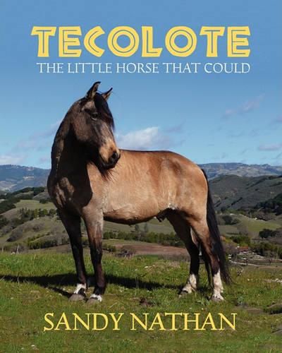 Cover image for Tecolote: The Little Horse That Could