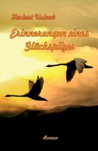 Cover image for Erinnerungen eines Gluckspilzes