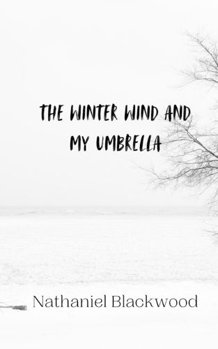 Cover image for The Winter Wind and My Umbrella