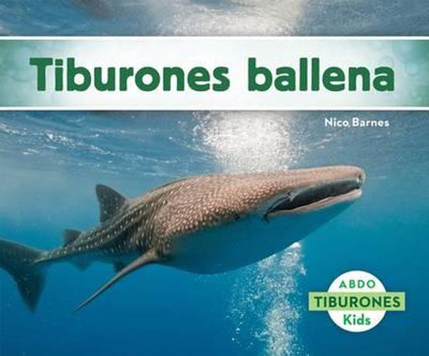 Tiburones Ballena