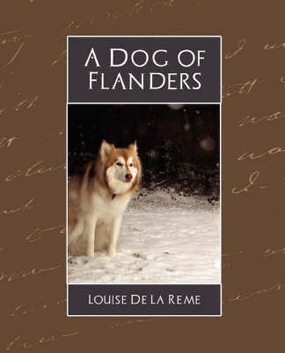 Cover image for A Dog of Flanders