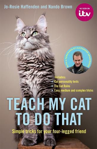 Cover image for Teach My Cat to Do That
