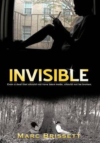 Cover image for Invisible