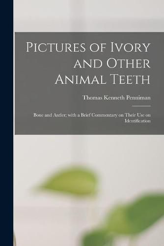 Cover image for Pictures of Ivory and Other Animal Teeth: Bone and Antler; With a Brief Commentary on Their Use on Identification