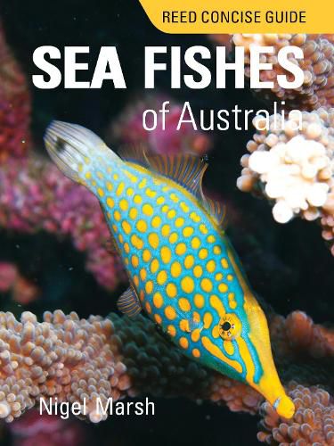 Cover image for Reed Concise Guide Sea Fishes of Australia