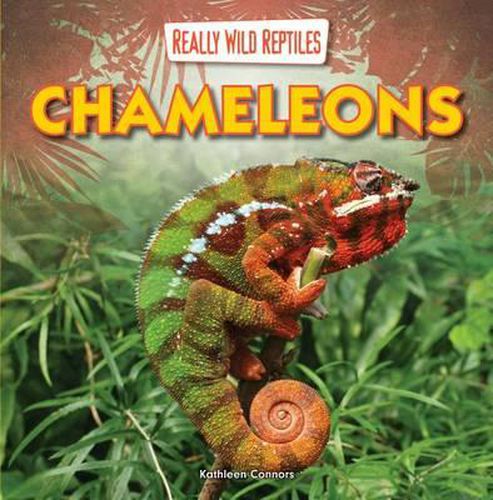 Cover image for Chameleons