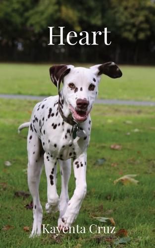 Cover image for Heart