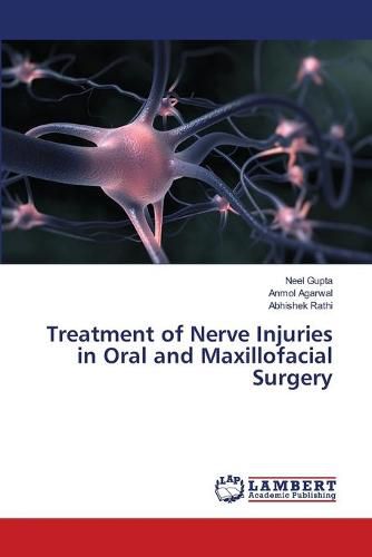 Cover image for Treatment of Nerve Injuries in Oral and Maxillofacial Surgery