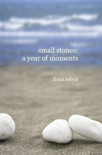 Small Stones: a Year of Moments