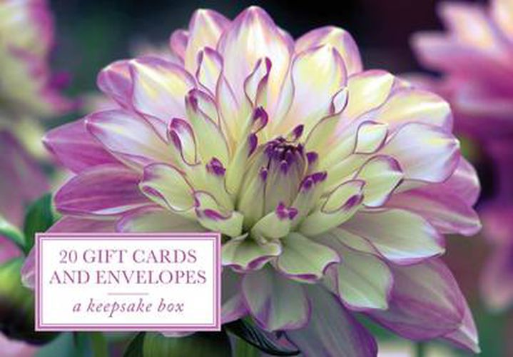 Cover image for Tin Box of 20 Gift Cards and Envelopes: Dahlia