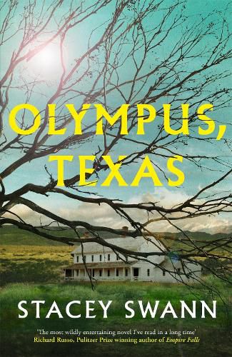 Cover image for Olympus, Texas