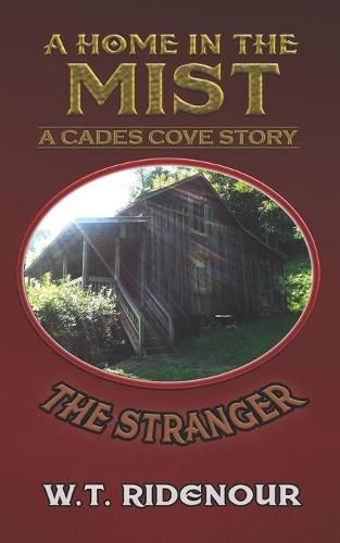 Cover image for A Home in the Mist: The Stranger