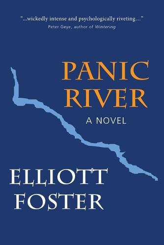 Cover image for Panic River