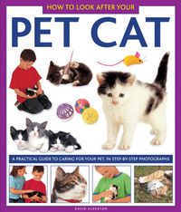 Cover image for How to Look After Your Pet Cat