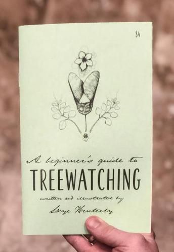 Cover image for A Beginner's Guide to Treewatching