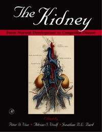 Cover image for The Kidney: From Normal Development to Congenital Disease