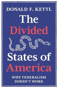 Cover image for The Divided States of America: Why Federalism Doesn't Work