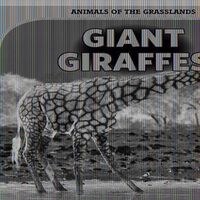 Cover image for Giant Giraffes