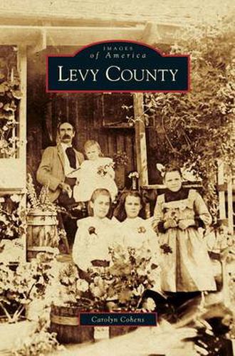 Cover image for Levy County