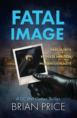 Cover image for Fatal Image