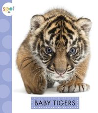 Cover image for Baby Tigers