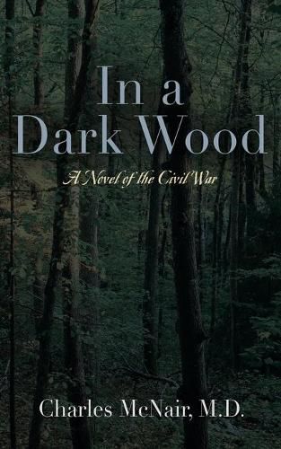 Cover image for In a Dark Wood