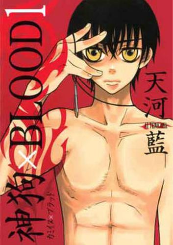 Cover image for Wolf God Volume 1