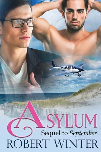 Cover image for Asylum