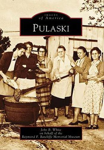 Cover image for Pulaski