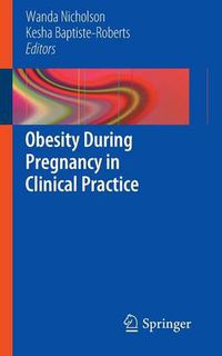 Cover image for Obesity During Pregnancy in Clinical Practice