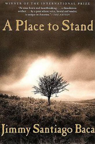 Cover image for A Place to Stand