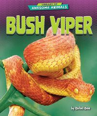 Cover image for Bush Viper