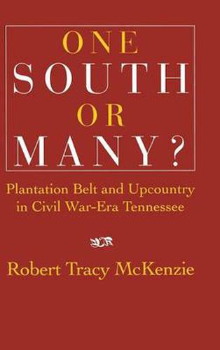 Cover image for One South or Many?: Plantation Belt and Upcountry in Civil War-Era Tennessee