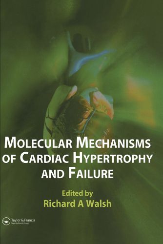 Cover image for Molecular Mechanisms of Cardiac Hypertrophy and Failure