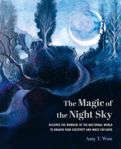 Cover image for The Magic of the Night Sky