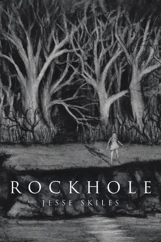 Cover image for Rockhole