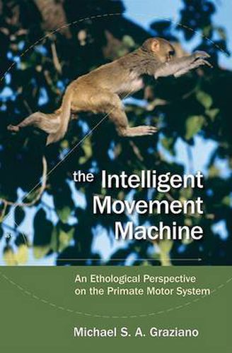 Cover image for The Intelligent Movement Machine: An Ethological Perspective on the Primate Motor System