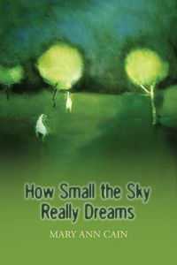 Cover image for How Small the Sky Really Dreams