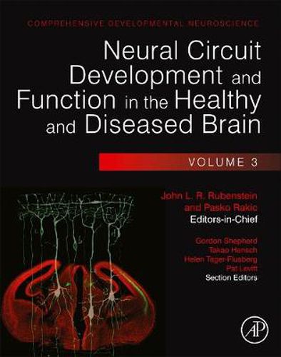 Cover image for Neural Circuit Development and Function in the Healthy and Diseased Brain: Comprehensive Developmental Neuroscience