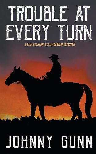 Cover image for Trouble at Every Turn