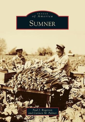 Cover image for Sumner