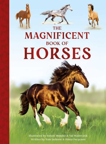 Cover image for The Magnificent Book of Horses