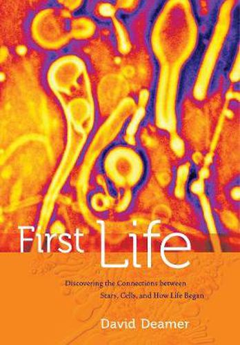 Cover image for First Life: Discovering the Connections between Stars, Cells, and How Life Began