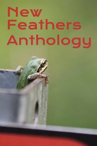 Cover image for New Feathers Anthology 2025