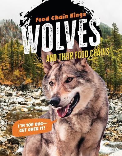 Cover image for Wolves